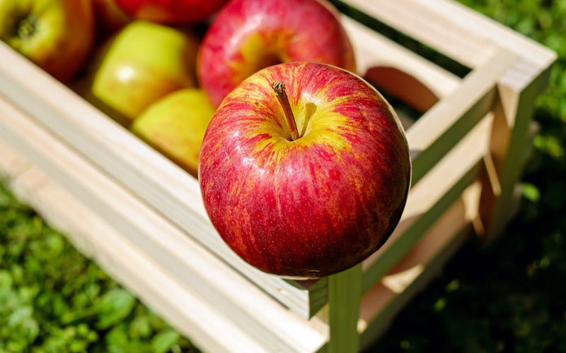 This is What Eating Too Many Apples Can Do to Your Body Foroveta